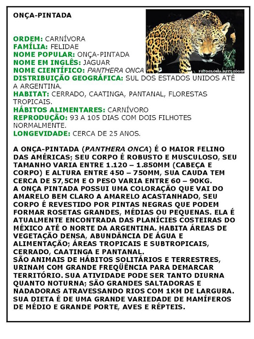 Texto informativo sobre animais extinção