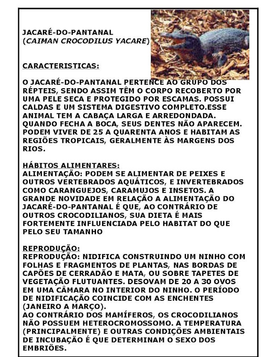 Texto informativo sobre animais extinção